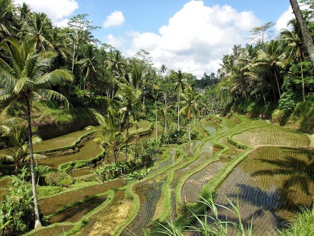 A village in Bali, Indonesia