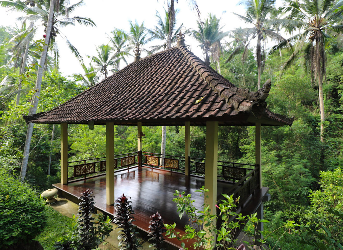 Bali Retreat and Art Workshop