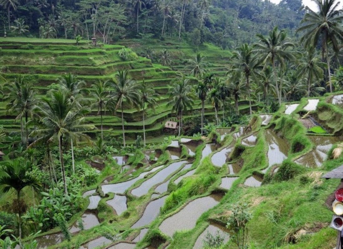 A village in Bali, Indonesia