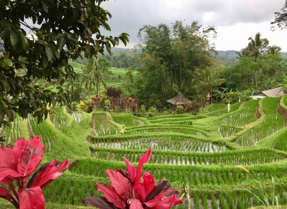 A village in Bali, Indonesia