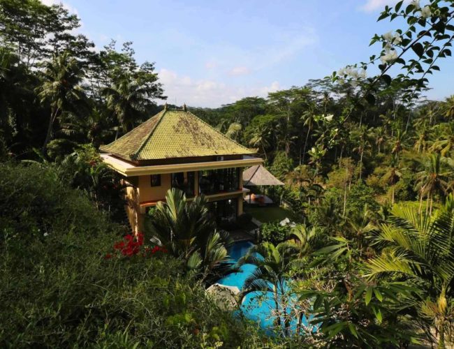 Bali Retreat and Art Workshop